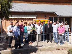 cabinet Radovanu 2