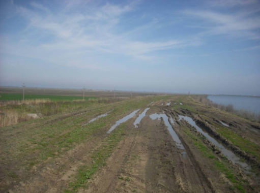 În judeţul Călăraşi, peste 2300 de hectare de teren agricol  au fost inundate