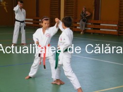 karate 3