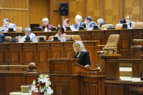 Raluca Surdu parlament