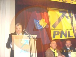 Dragulin-la-alegeri-1mod