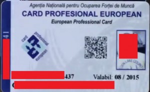 card profesional