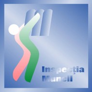 1003008_1393283137560335_1418933457_n