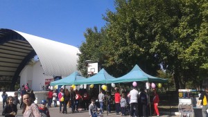 Profesorii si-au prezentat oferta