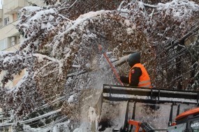 interventie Primarie