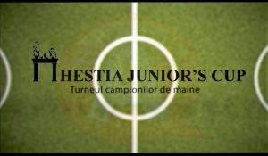 foto hestia cup