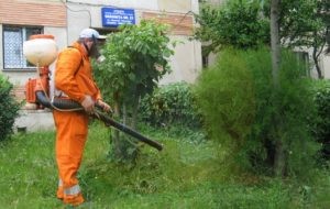 in-sfarsit-scapam-de-tantari