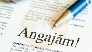 82eb160166ad336476456b84f869b4de_XL