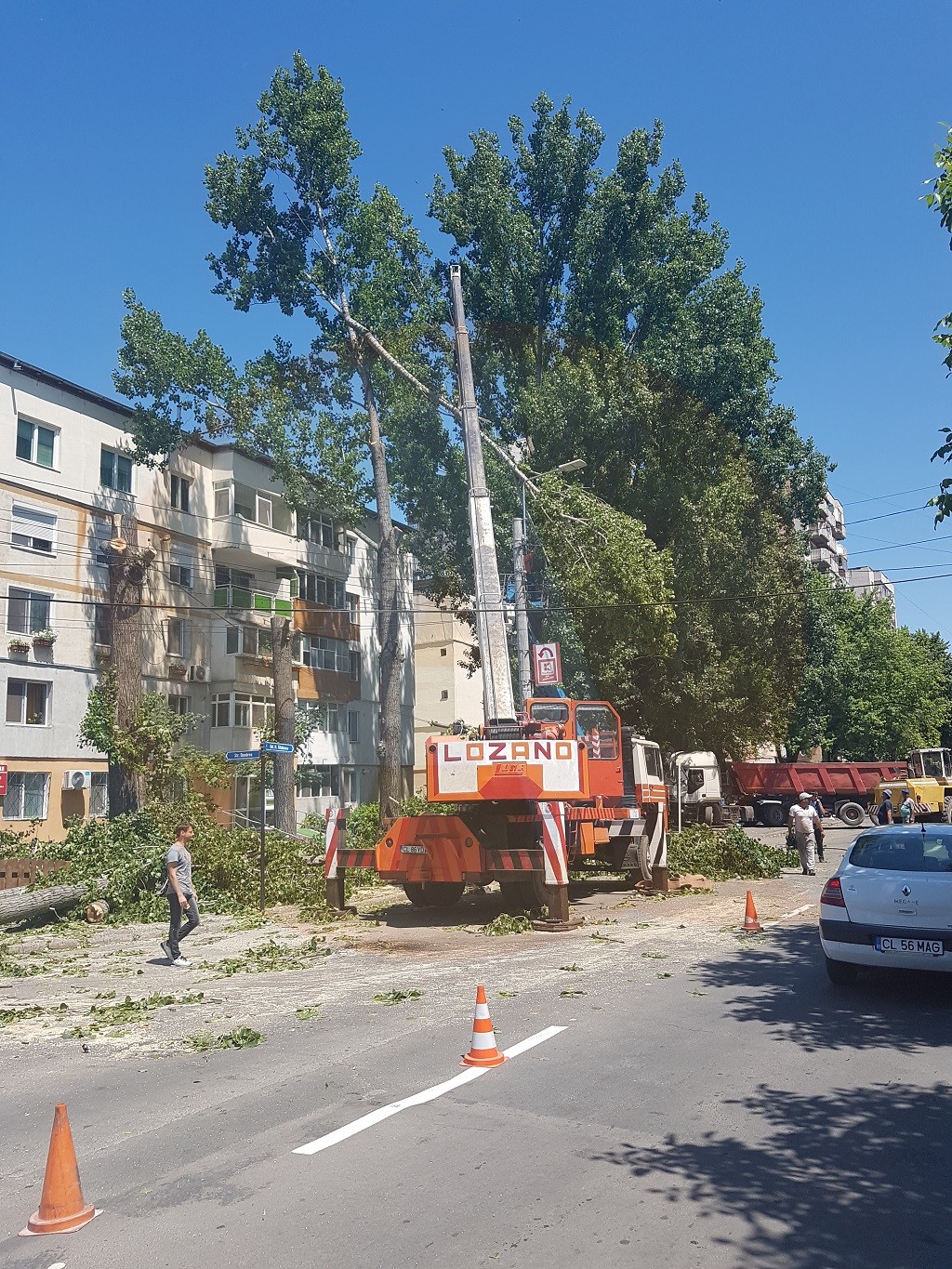 Comunicat privind lucrările de tăiere a arborilor, în municipiul Călărași
