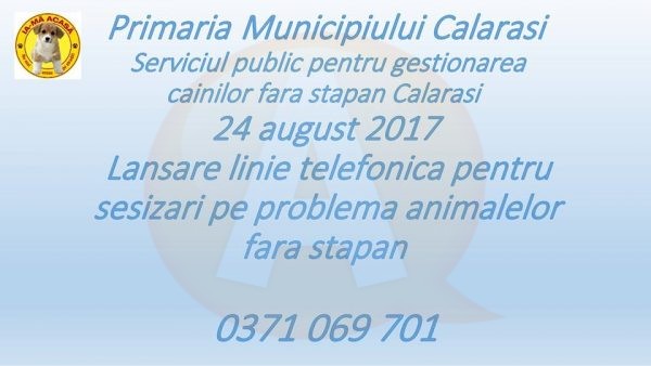 0371.069.701, o nouă linie telefonică pentru sesizări privind  câinii  fără stăpân, din Călăraşi