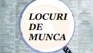 locuri-de-munca