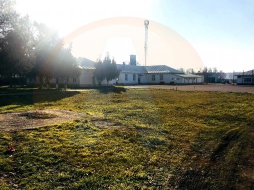 Primăria Călărași va înființa o creșă, pe un teren din incinta Școlii numărul 6