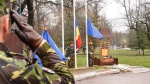 rezervisti voluntari