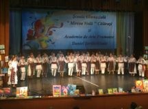 57019466_2431083590249330_4331731816621801472_o