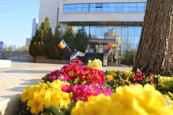 Consiliul Judeţean Călăraşi supune consultării publice proiectul bugetului propriu al județului Călărași