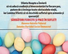 58374107_333582747301447_8990875011761831936_n