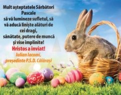 58461108_2044300972533423_4767637350392004608_n