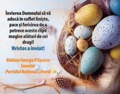 58570523_385643012023984_7021293758180229120_n