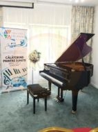 61614378_2377788135841989_8351465122824192000_n