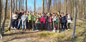 ecOprovocarea 2018-2019 (1)